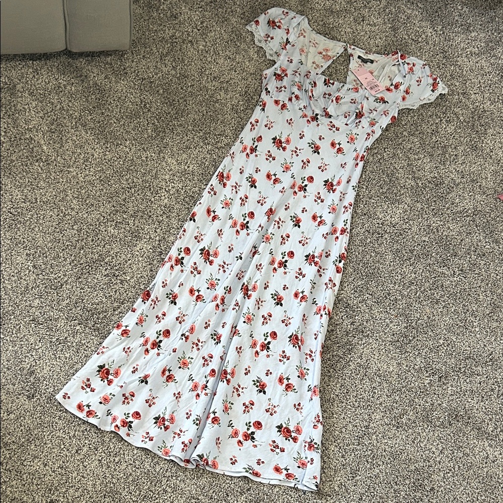 wild fable Light Blue Maxi Dress with Red Floral Print
